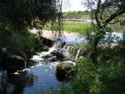 Naharro. Mata de Alcntara, Cceres